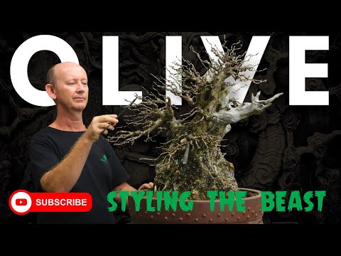 Kikuwa High quality Wire Cutter Scissors - - Tools