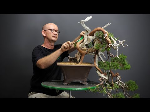 Kaneshin Pliers - - Tools