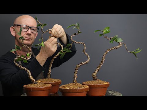 Professional Wire Caddy - - Tools