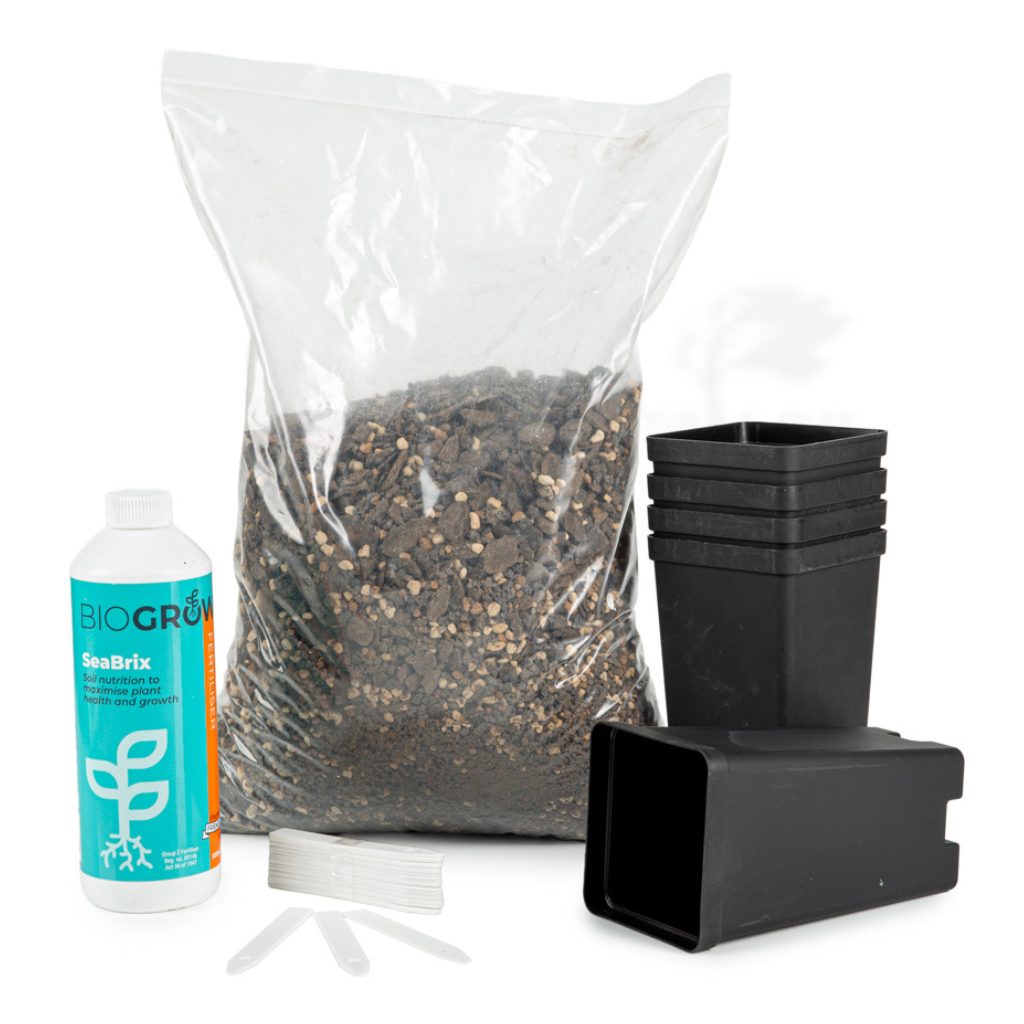 Succulent Growers Bundle by Bonsai Tree (Pty) Ltd.