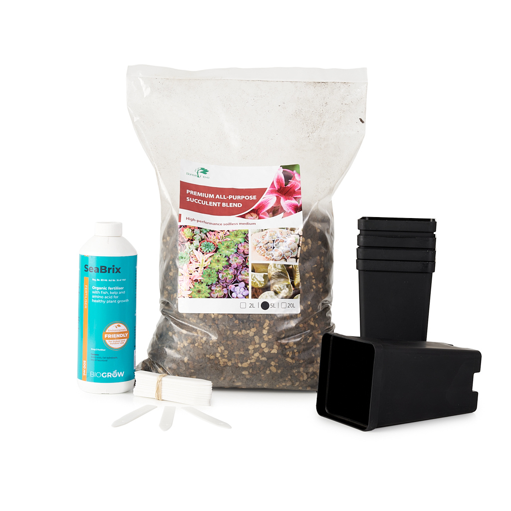 Succulent Growers Bundle by Bonsai Tree (Pty) Ltd.