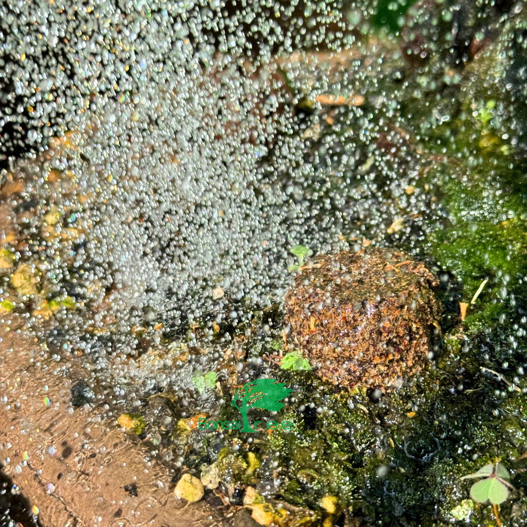 SuperBoost, Solid Organic Fertilizer -   - Fertilizers