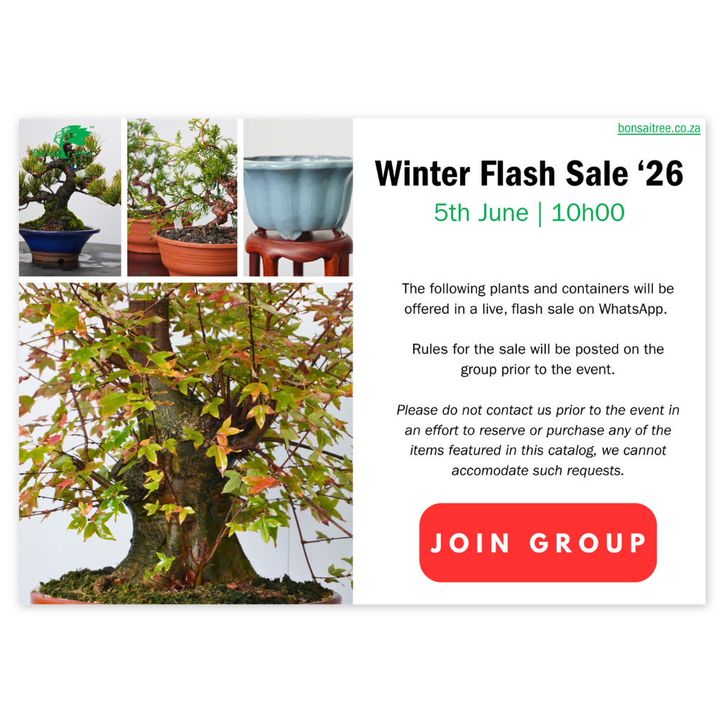Flash Sale Catalog, Winter 2026 by Bonsai Tree (Pty) Ltd.