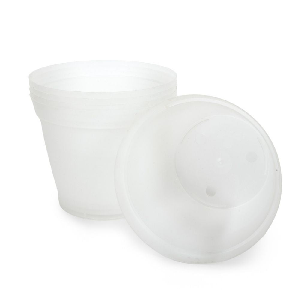 Orchid Plastic Pot, Clear, Extra Small, 8.5cm. by Waldo Plastics