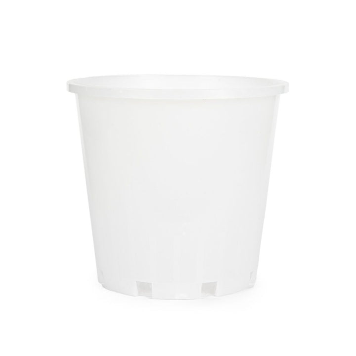 Orchid Plastic Pot, Clear, Large,18cm. by Waldo Plastics