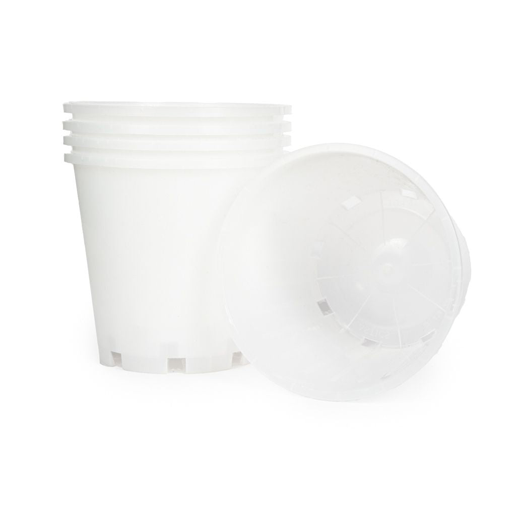 Orchid Plastic Pot, Clear, Large,18cm. by Waldo Plastics