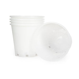 Orchid Plastic Pot, Clear, Large,18cm. -  LARGE,18cm (Top dia), 14cm (Bottom dia), 17cm (Height), 2400ml. Bulk Purchase (5pc). Slotted holes on the side. - Plastics
