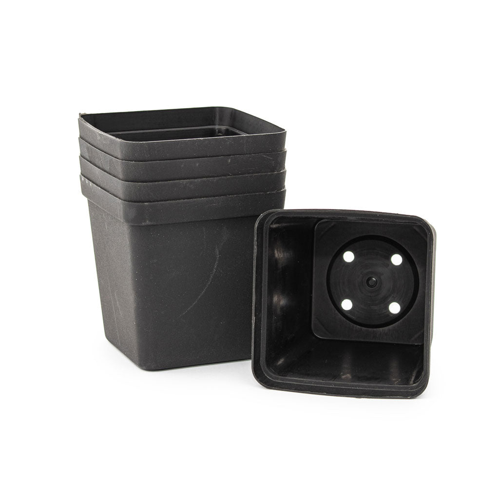 Square Plastic Pot, Black, 9cm by Growrite