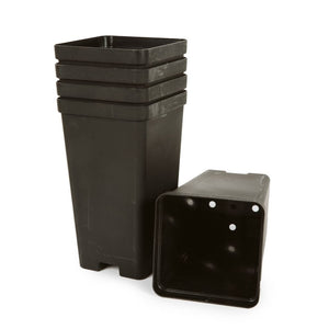 Plastic, Tall Drainage Pot, 9 x 9 x 16cm -  Container Bundle, 5PC - Plastics
