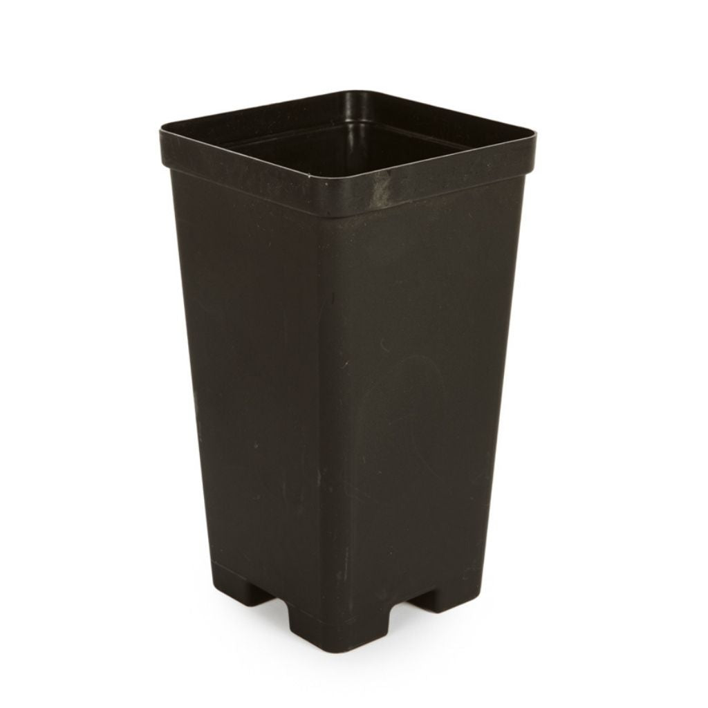 Plastic, Tall Drainage Pot, 9 x 9 x 16cm by Waldo Plastics