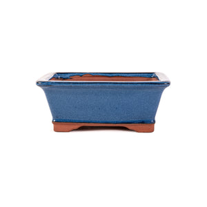 Assorted Glazed Bonsai Pots, 8" -  Deep Blue Rectangular, 20 x 16 x 8cm - Pots