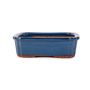 Assorted Glazed Bonsai Pots, 10" -  Deep Blue Rectangle with decorative corners, 28 x 21 x 8.5cm - Pots