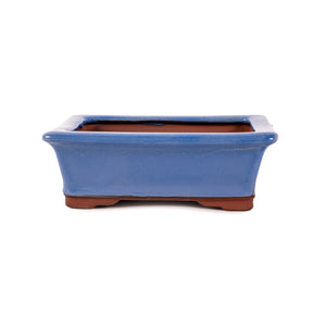 Assorted Glazed Bonsai Pots, 10" -  Light Blue Rectangle, 25 x 20 x 8cm - Pots