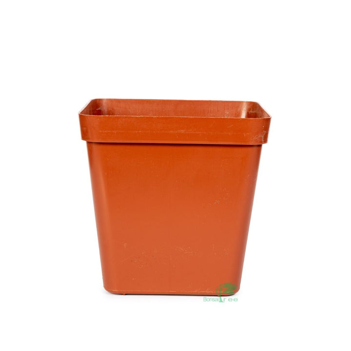 Square Plastic Pot, Terracotta, 12cm by Growrite