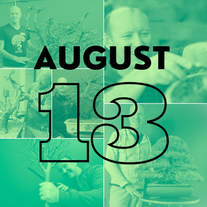 Advanced Bonsai Classes, 12 & 13th August, Pretoria. -  13th August, 09h00 - 13h00 - Workshop