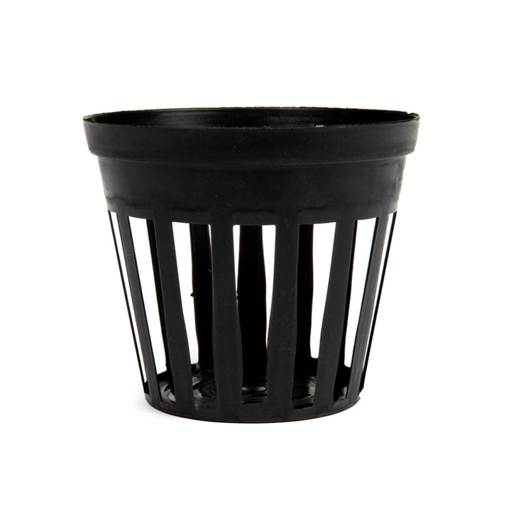 Plastic Net Pot, 7.5cm by Growrite