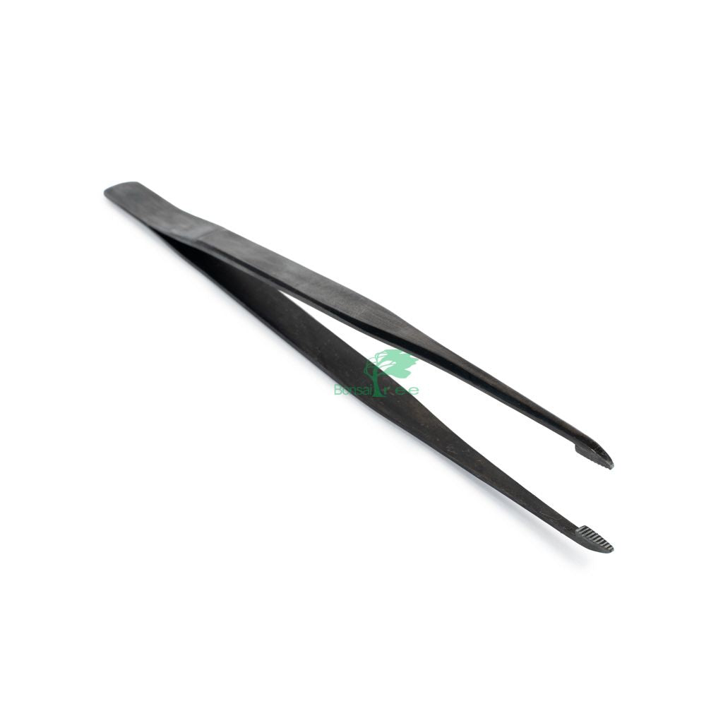 Kikuwa Pine Tweezers by Kikuwa