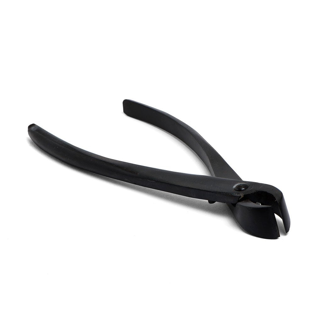 Bonsai Novice Tool Set by Bonsai Tree