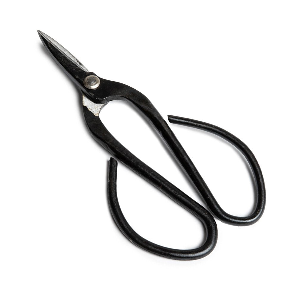 19cm Bonsai General Scissors by Pecenppot