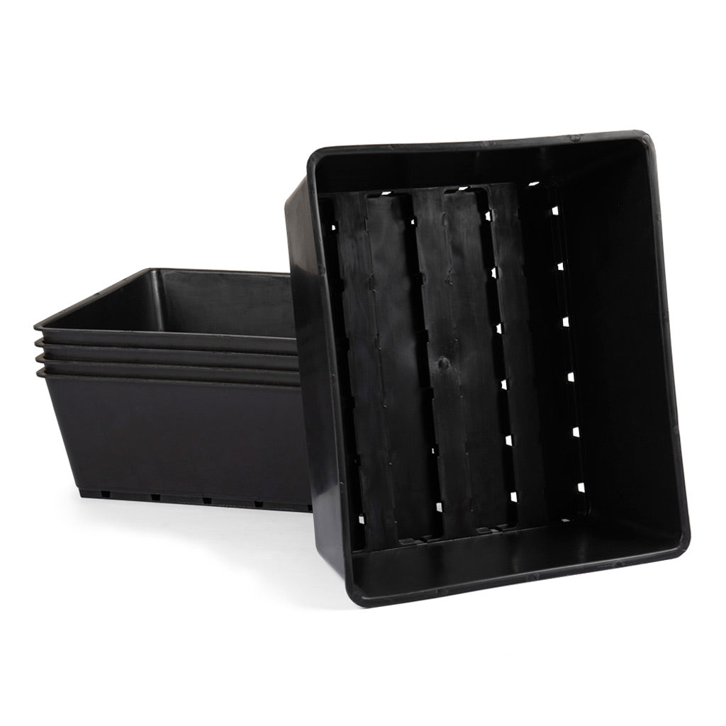 Plastic growing tray, 15cm x 23cm x 6cm. -  15cm x 23cm x 6cm.  5Pc Bulk Purchase. - Plastics