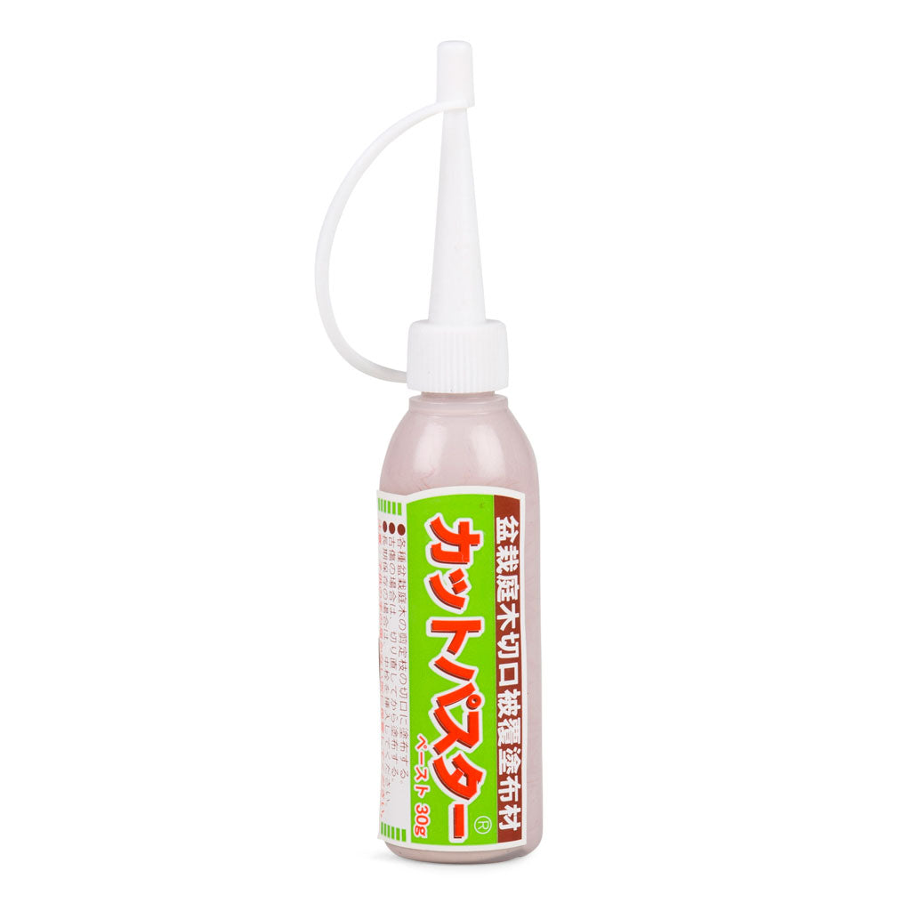 Japanese Cut Paste Tube, 30g by Kikuwa