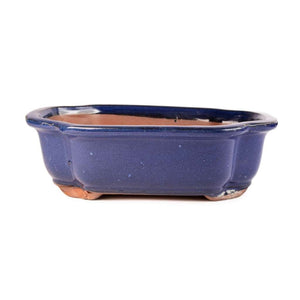Assorted Glazed Bonsai Pots, 10" -  Blue Rectangle, 26 x 21 x 7cm - Pots