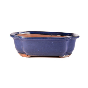 Assorted Glazed Bonsai Pots, 8" -  Blue Retangle, 21 x 16 x 7cm - Pots