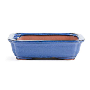 Assorted Glazed Bonsai Pots, 10" -  Shallow Blue Rectangle with Decorative Corners, 27 x 21 x 7.5cm - Pots