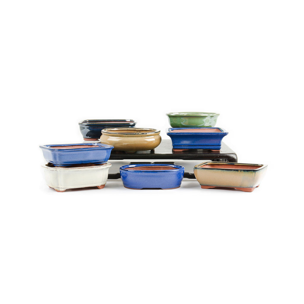 Assorted Glazed Bonsai Pots, 8" - - Pots