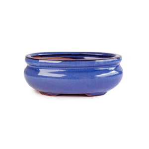 Assorted Glazed Bonsai Pots, 6" -  Blue Oval with Lip 14.5 x 11 x 5cm - Pots