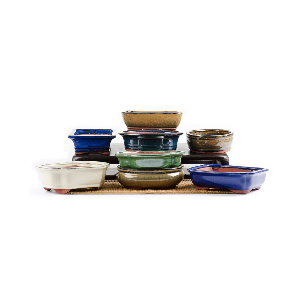 Assorted Glazed Bonsai Pots, 8" -   - Pots