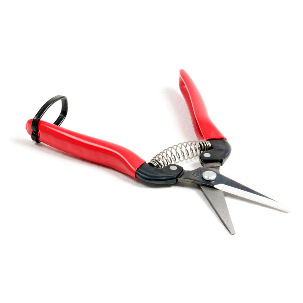 Pruning Scissors, 190mm, High-carbon Steel -   - Tools
