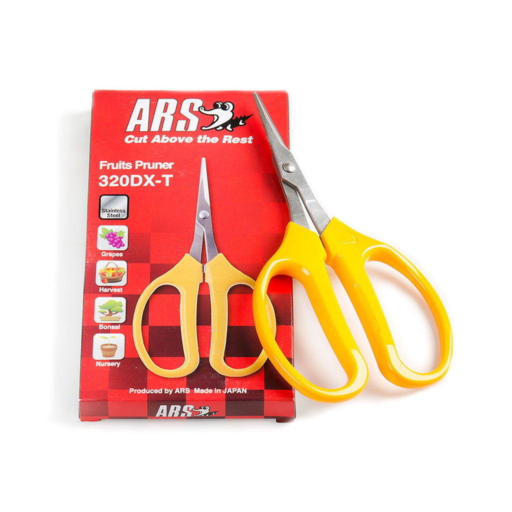 Trimming Scissors, 155mm, Stainless Steel by Cape Agricultural Supplies