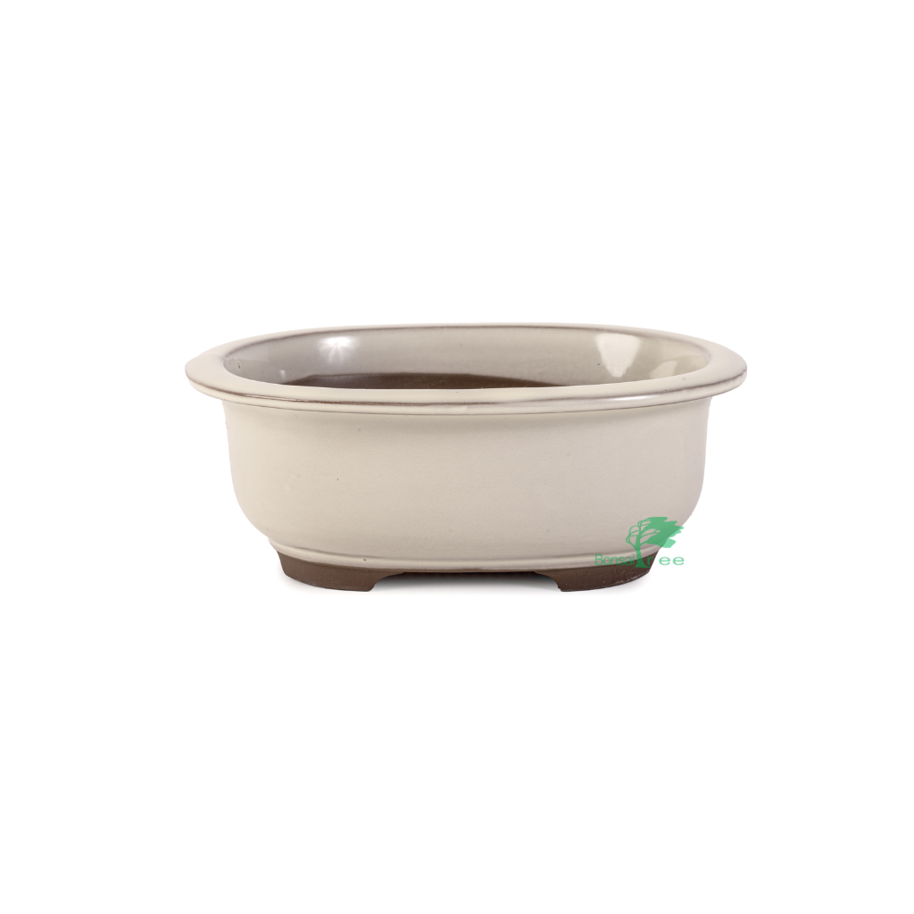 Japanese Shiro glazed Deep, Oval Container by Kobayashi Sangyo