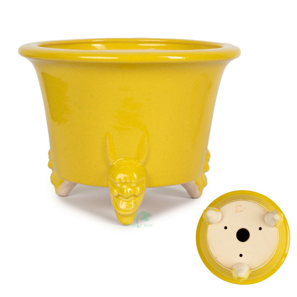 Chinese glazed dragon motif, 185mm x 130mm -  Yellow - Pots