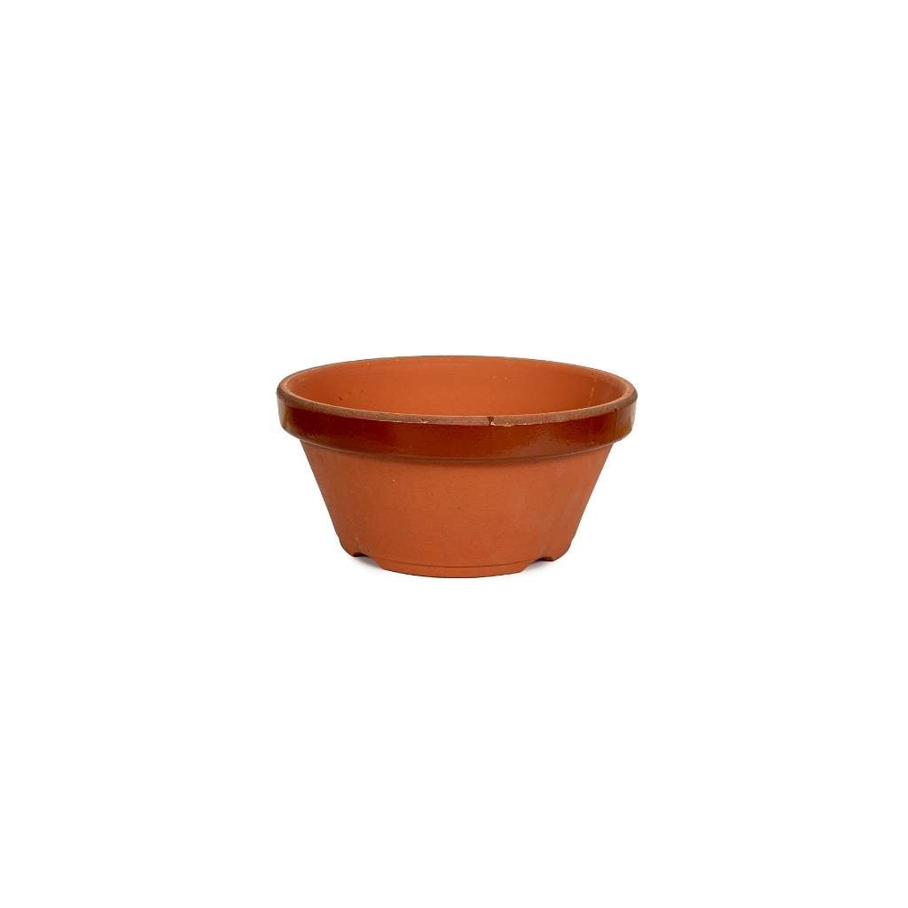 Japanese Marukou Terracotta Pots -  Gardening pot #5 shallow, 155(D) x 70 mm(H) - Pots