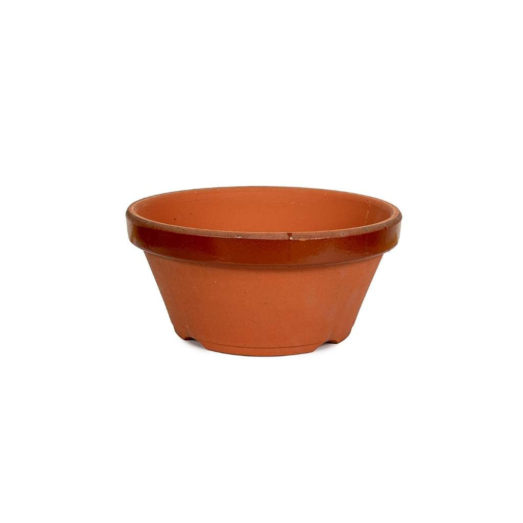 Japanese Marukou Terracotta Pots -  Gardening pot #6 shallow, 186(D) x 87 mm(H) - Pots