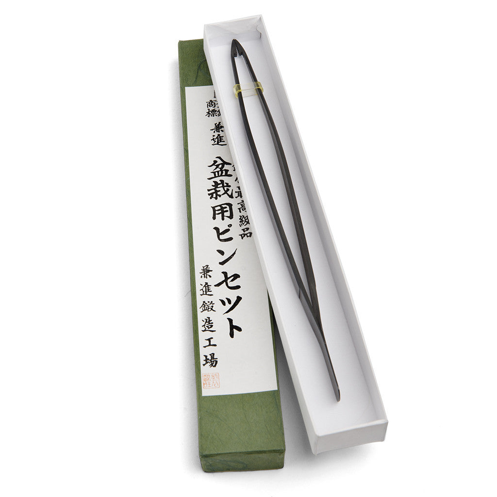 Kaneshin Bonsai Tweezers for pines by Kaneshin