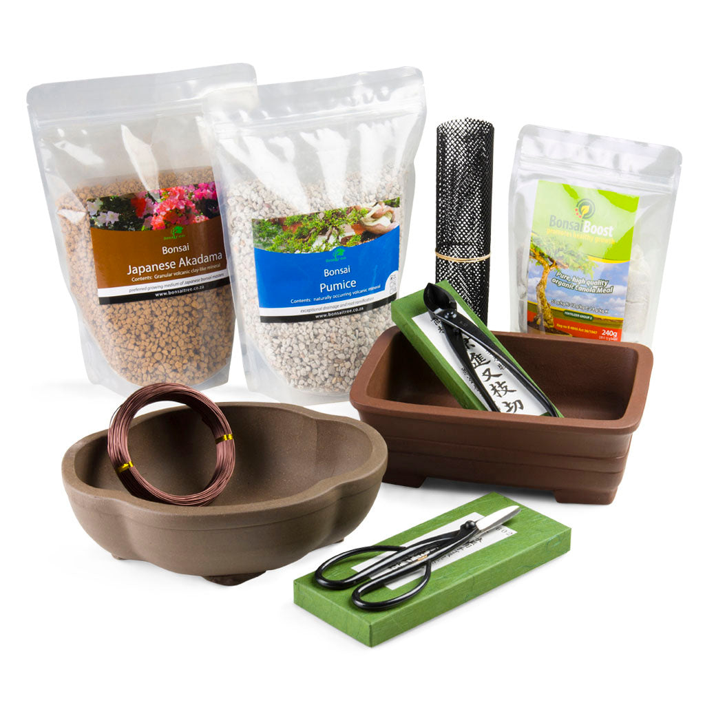 Bonsai Master Collection by Bonsai Tree (Pty) Ltd.