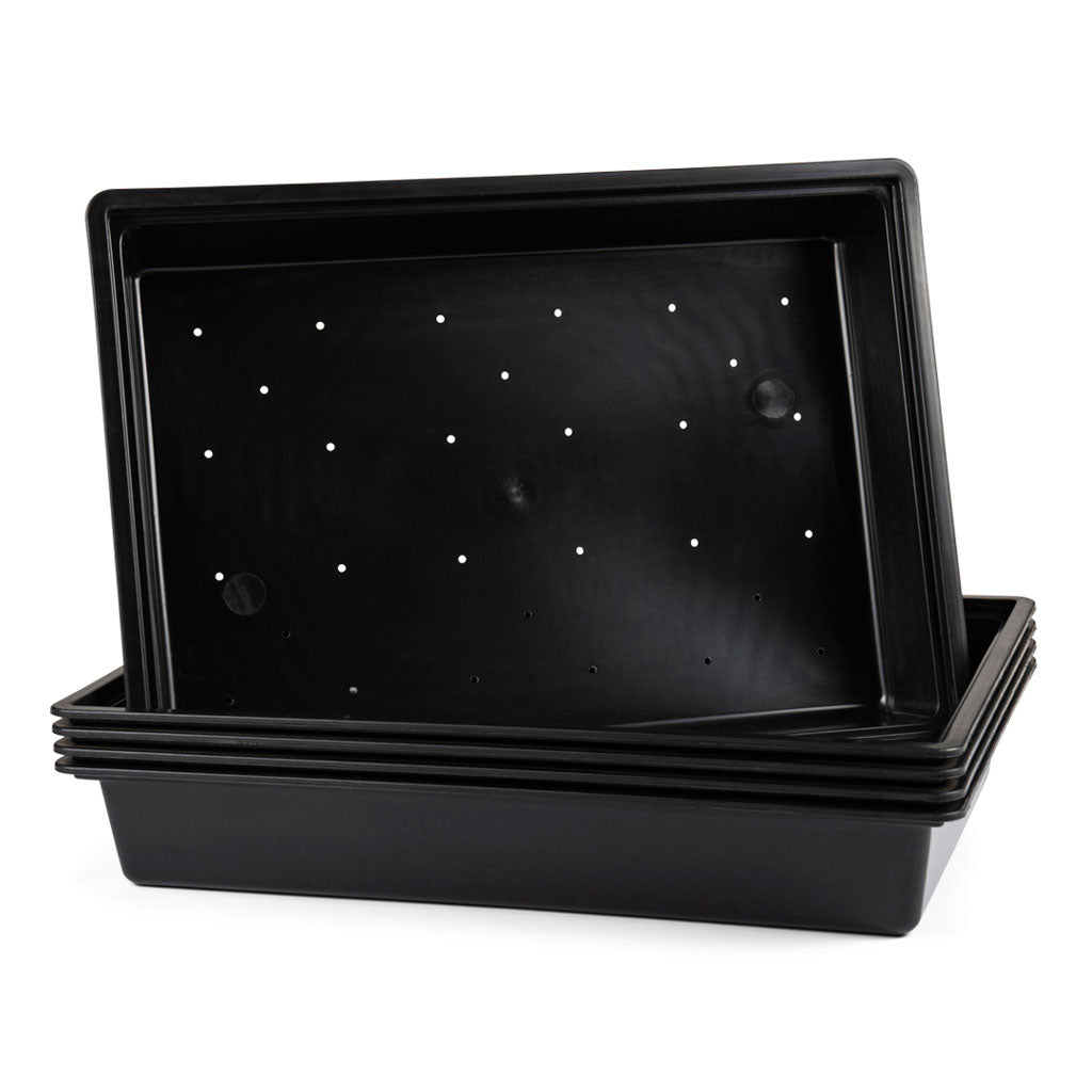 Plastic Tray, 35 x 48 x 7.6cm -  35cm x 48cm x 7.6cm. 5Pc Bulk Purchase. - Plastics