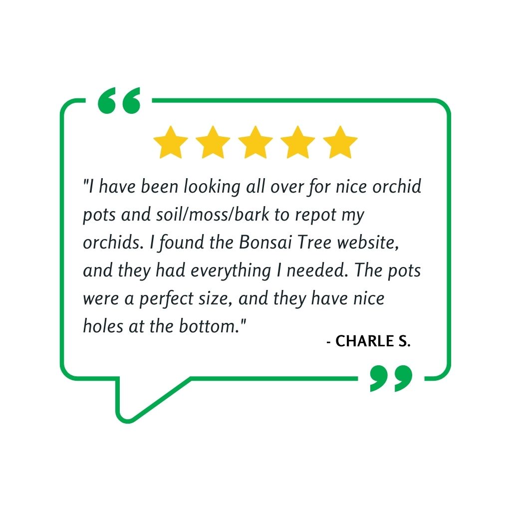 Orchid Plastic Pot, Clear, Large,18cm. -   - Plastics