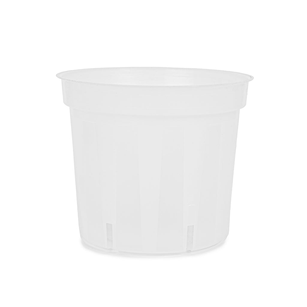 Orchid Plastic Pot, Clear, Small, 13.5cm. by Waldo Plastics