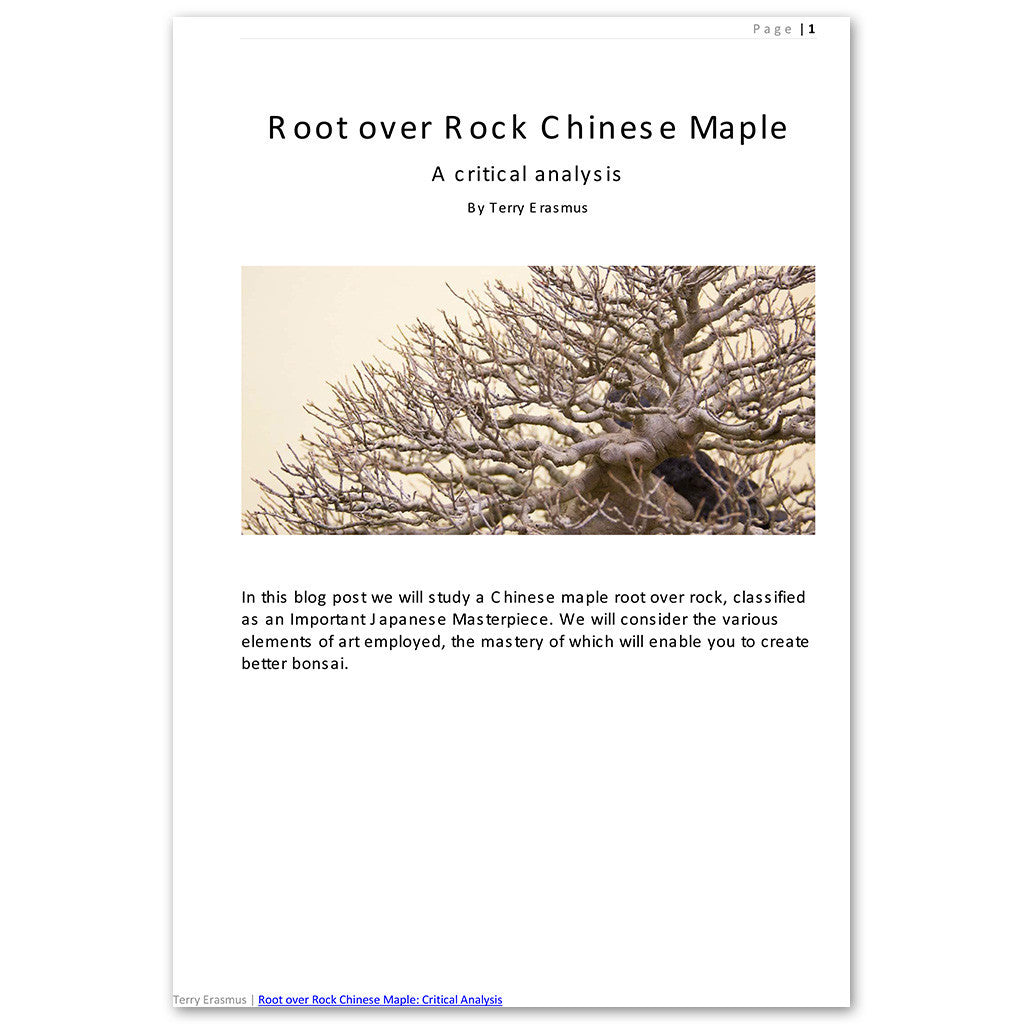 Root over Rock Chinese Maple: A Critical Analysis -   - E-Book