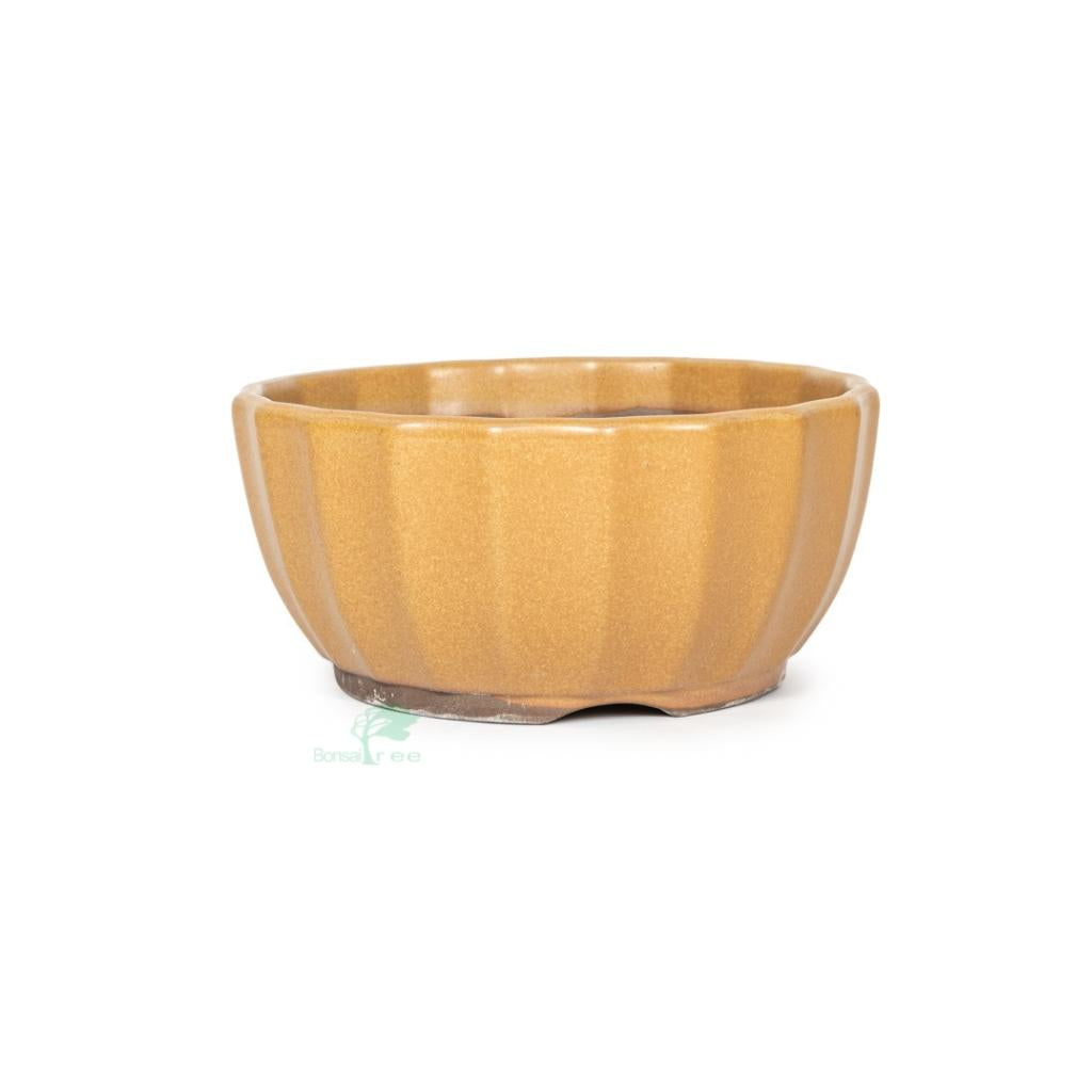 Japanese, Kii Glazed Containers -  Large, 150(W) x 70mm(H) - Pots