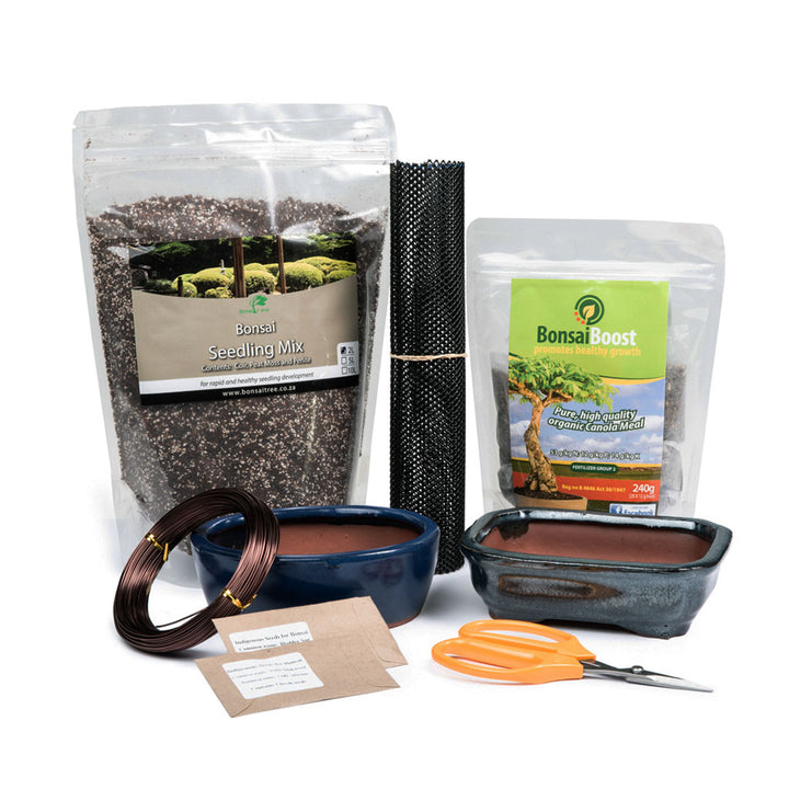 Bonsai Apprentice Collection by Silverhill Seeds