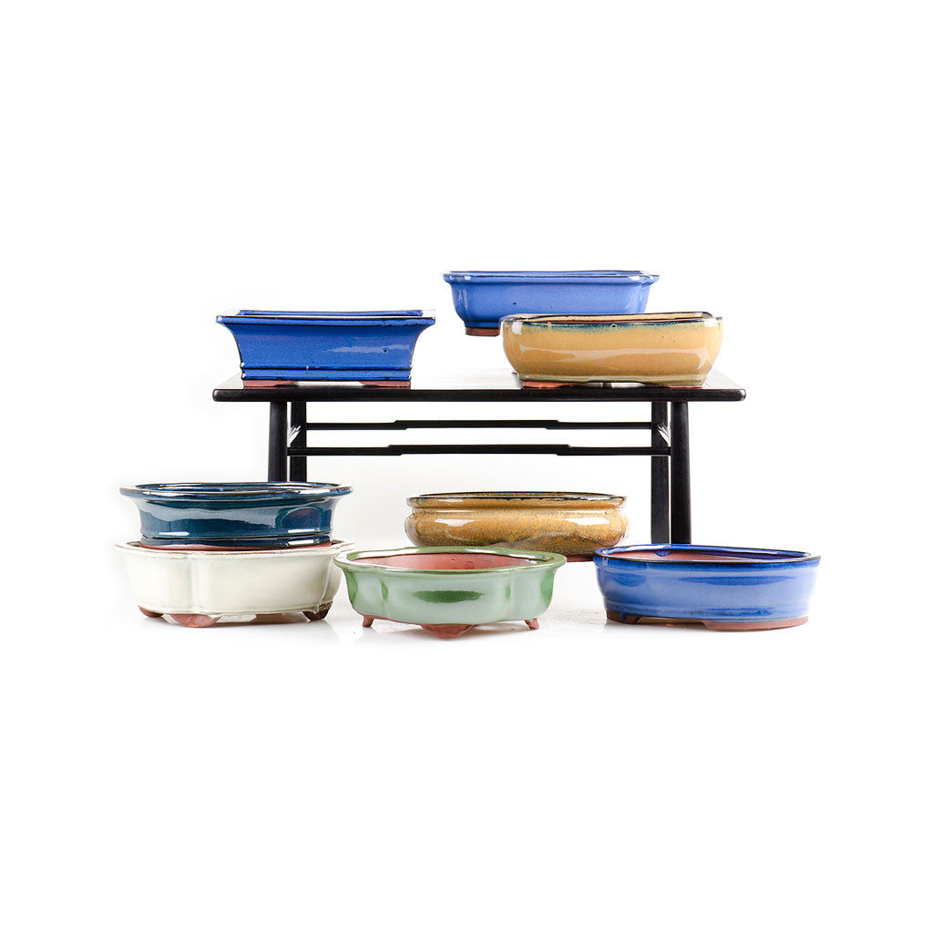 Assorted Glazed Bonsai Pots, 10" - - Pots