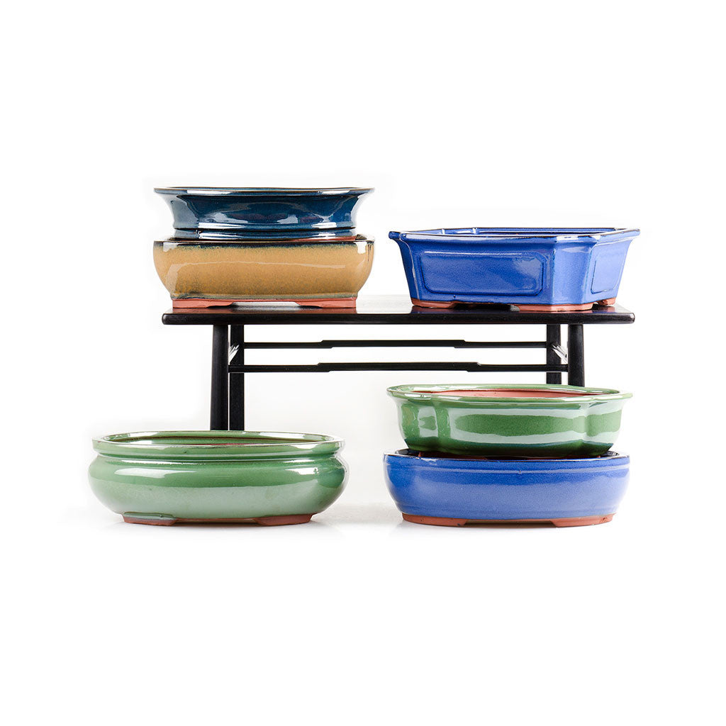 Assorted Glazed Bonsai Pots, 12" -   - Pots