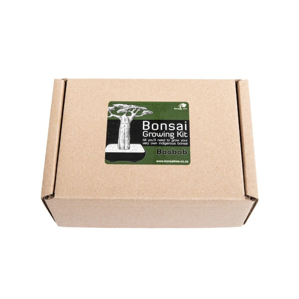 Baobab Bonsai Growing Kit Bonsai Tree (Pty) Ltd.
