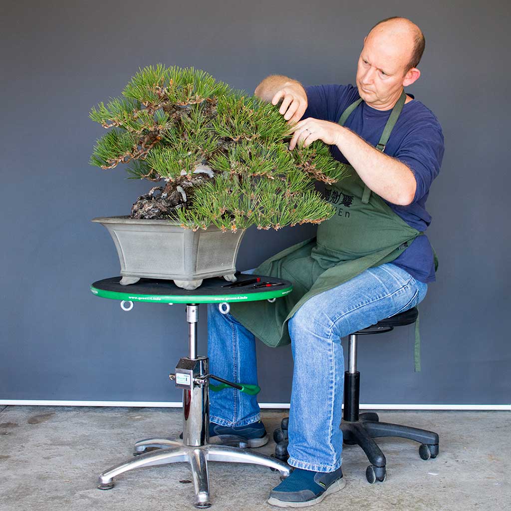 Green T Professional Hydraulic Lift Bonsai Turntable by Green-T