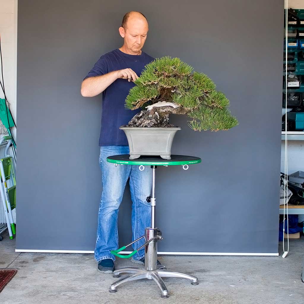 Green T Professional Hydraulic Lift Bonsai Turntable by Green-T